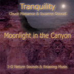 moonlight in the canyon