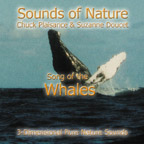 Song of the Whale