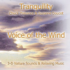 Voice of the wind